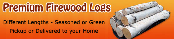 Birch Logs - 3 Sizes!